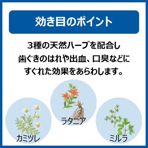 第3類医薬品 アセスl 160g 日本調剤オンラインストア