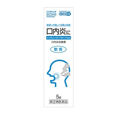 【指定第2類医薬品】5COINS PHARMA ラホヤ口内軟膏A 5g