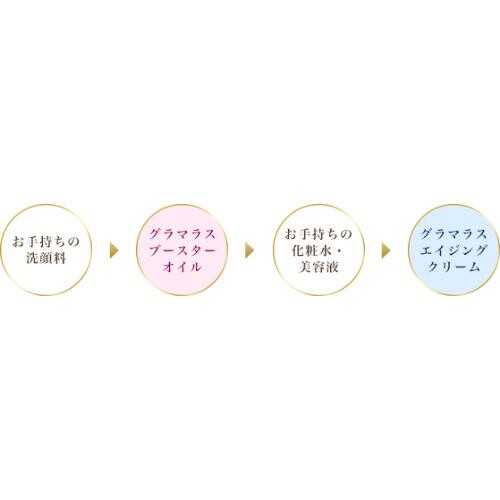 SPEEDIA(スピーディア) GBオイル 17ml