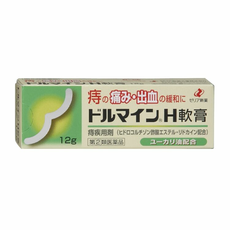 【指定第2類医薬品】ドルマインＨ軟膏　１２Ｇ