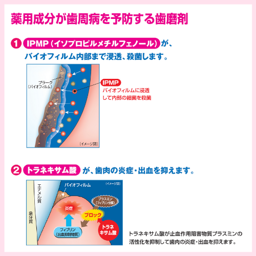 システマ デンタルペースト アルファ（Systema Dentalpaste α）