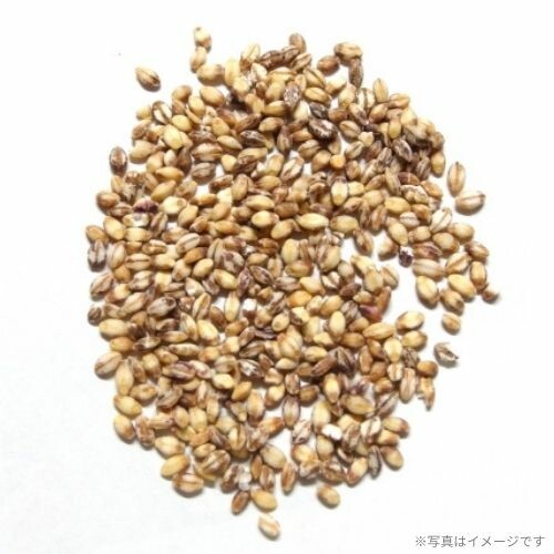 日本調剤の四国産もち麦（800g）