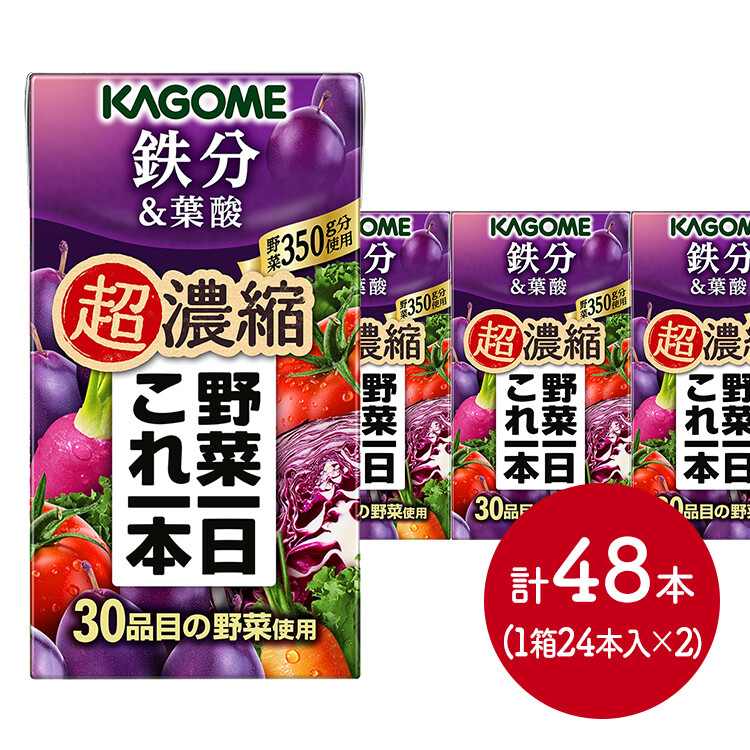 【メーカー直送品】野菜一日これ一本野菜一日 超濃縮鉄分＆葉酸 125ml×48本