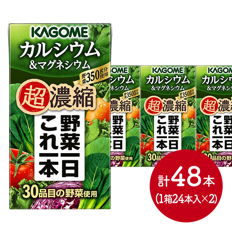 【メーカー直送品】野菜一日これ一本 超濃縮カルシウム＆マグネシウム125ml×48本