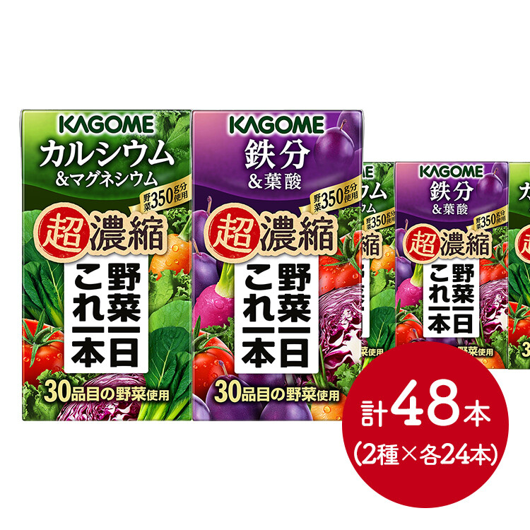 【メーカー直送品】野菜一日これ一本 超濃縮カルシウム＆マグネシウム 125ml×24本＆超濃縮鉄分＆葉酸 125ml×24本セット