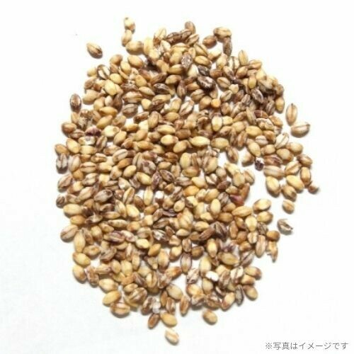 日本調剤の瀬戸内産もち麦（800g）