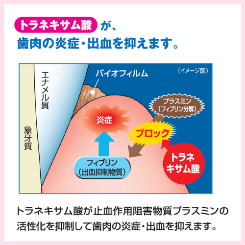 薬用成分 トラネキサム酸の働き